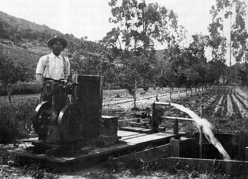 Japanese irrigation in California